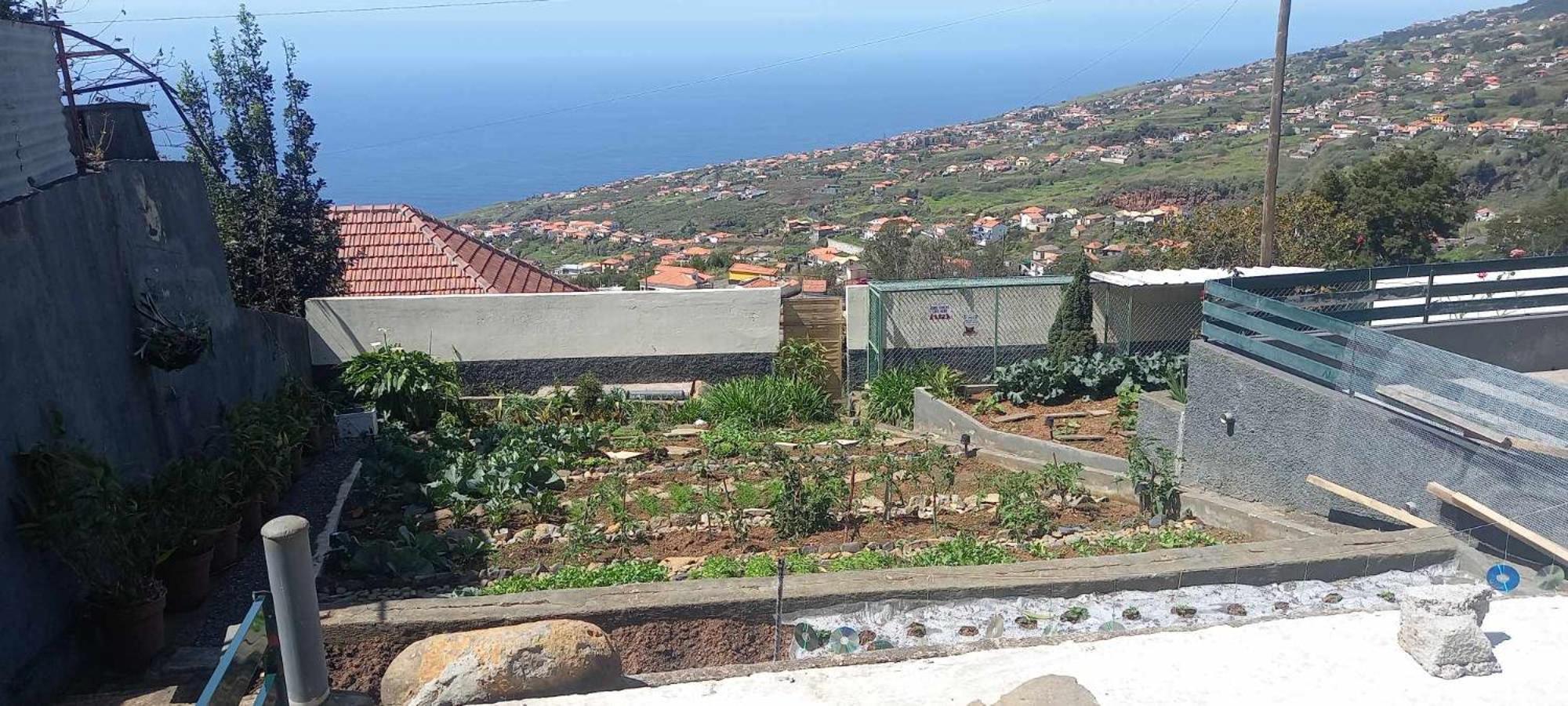 Casa Monte De Paz Calheta  Exteriér fotografie
